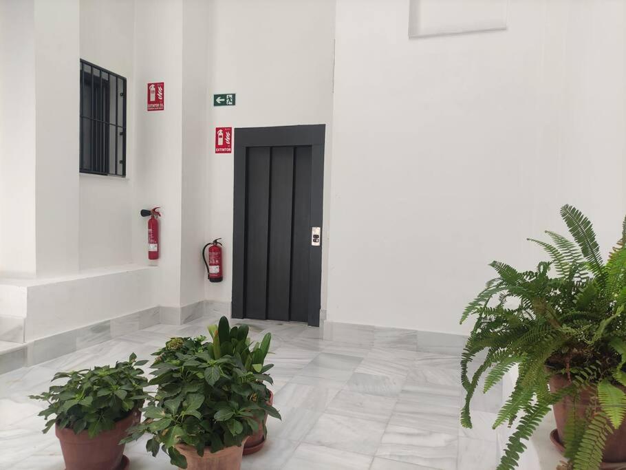 Calm & Design Suite Σεβίλλη Εξωτερικό φωτογραφία